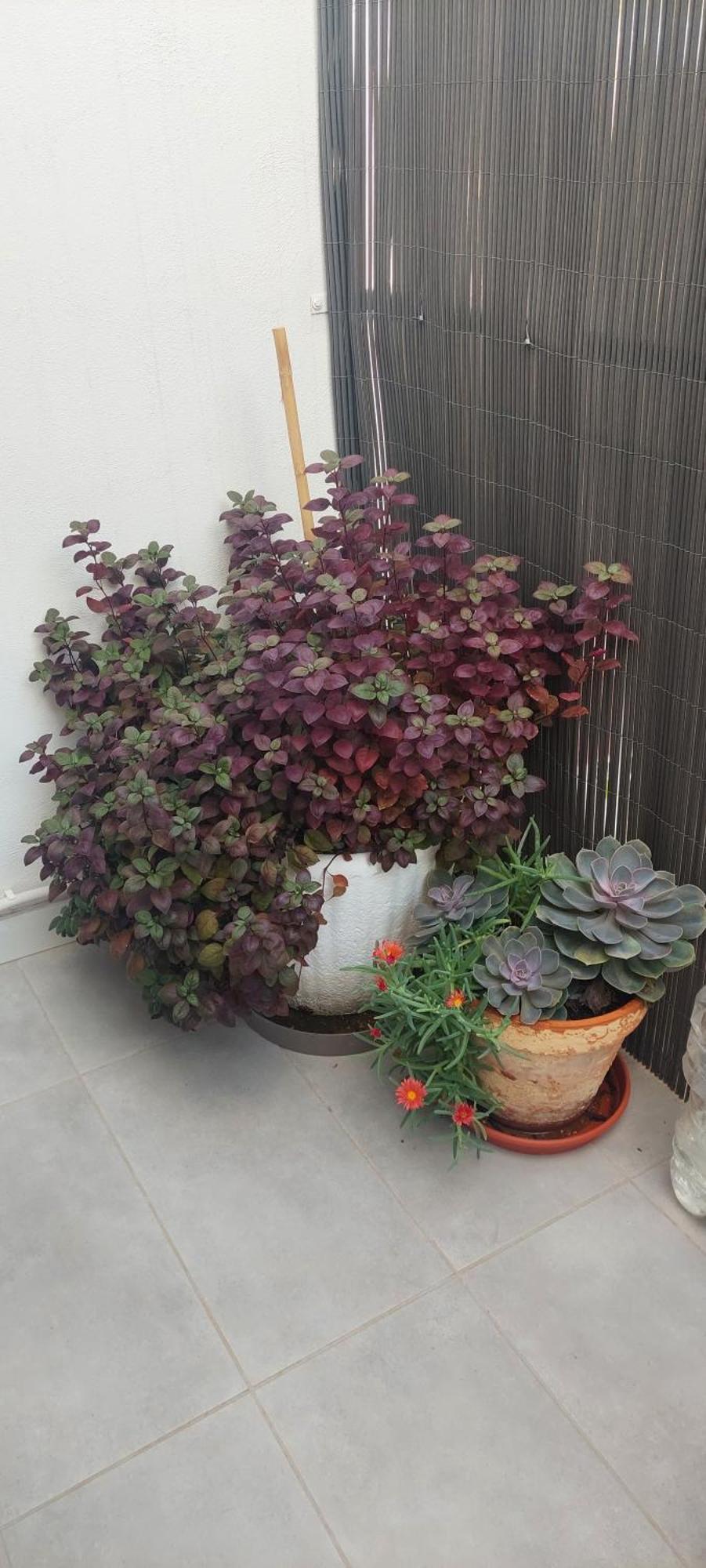 Apartamento La Union Castellon de la Plana Bagian luar foto